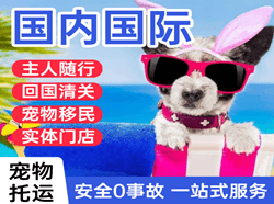 包头东河航空托运国际宠物托运 【国